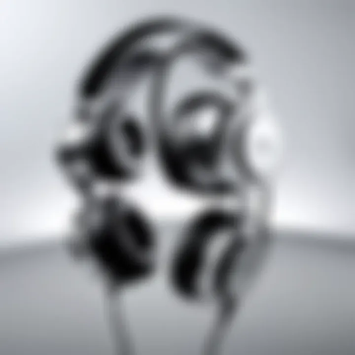 Magnificent In-Depth Review of HIFIMAN RE400 Earphones
