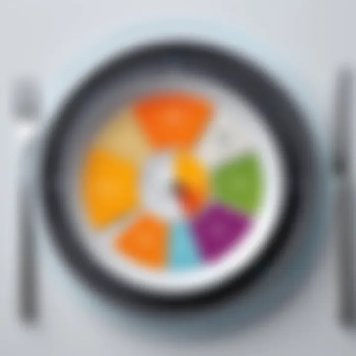 Magnificent Understanding Meal Measure Portion Control Plates: A Guide to Balanced Eating