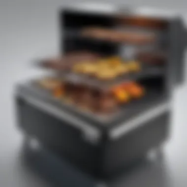Diverse Options of Commercial Smokeless Grills A range of commercial smokeless grills available on the market