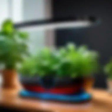 Sleek design of the AeroGarden Elite Slim showcasing its modern aesthetics