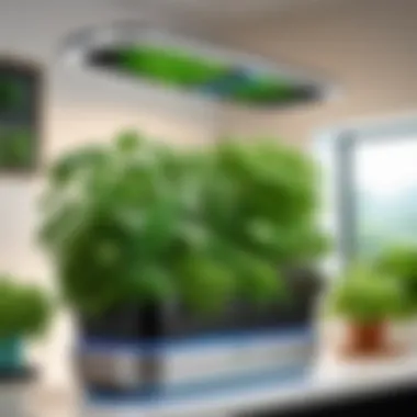 Fresh herbs grown in the AeroGarden Elite Slim promoting sustainable living