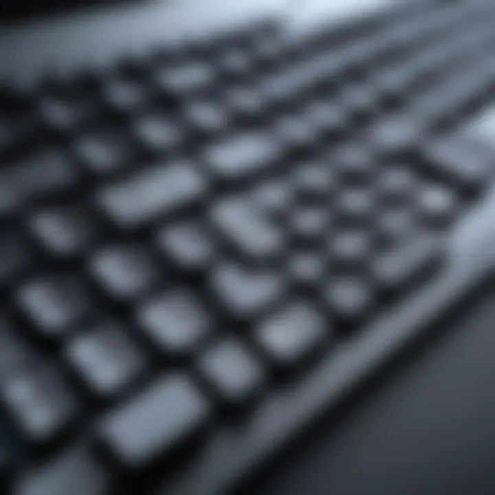 User customizing the Alpha Elite Keyboard settings on their computer, demonstrating its versatility.