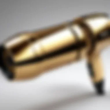 Advanced Technology Features of the Babyliss Gold FX Dryer Close-up view of the advanced technology features of the Babyliss Gold FX Dryer.