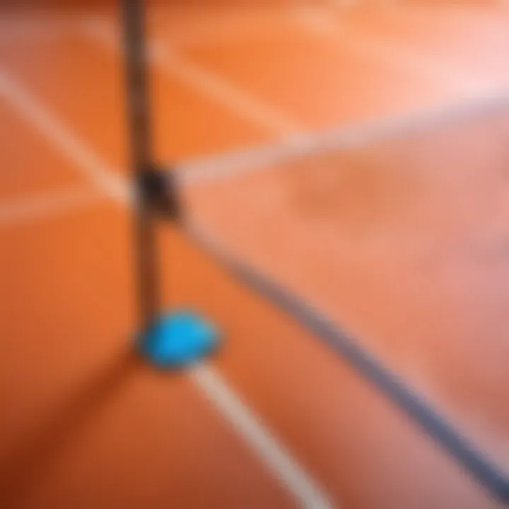 User-friendly setup of the badminton net on a court