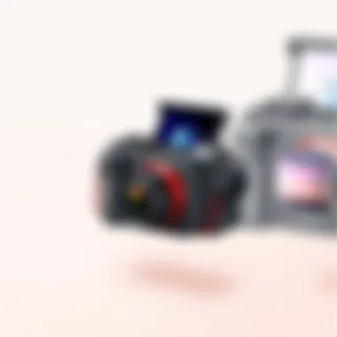 Compact camera case showcasing portability