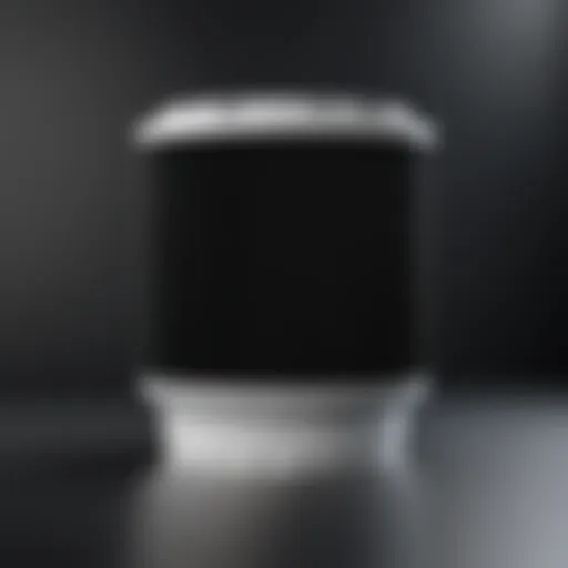 Detailed view of Oransi Finn replacement filter showcasing design and build quality