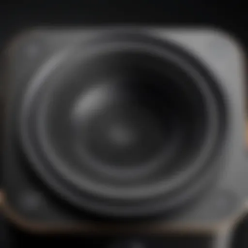 Close-up of an iPhone speaker showing dust accumulation