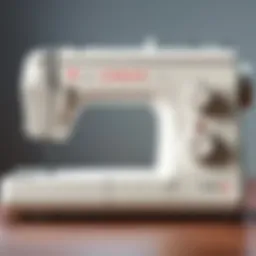 Comprehensive Review of the Singer MX60 Sewing Machine Introduction