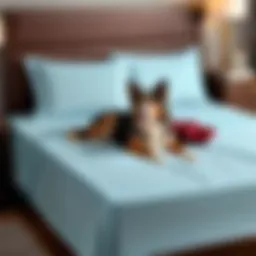 Luxurious dog sheets enhancing queen bed aesthetics