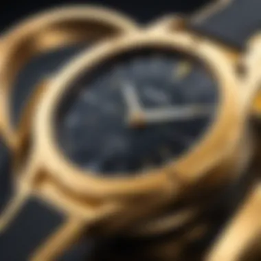 Ergonomic Design of Eureka Airspeed Gold Close-up of the Eureka Airspeed Gold's ergonomic design.