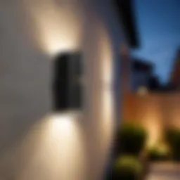 Sleek design of Philips Impress Outdoor Wall Light highlighting modern aesthetics