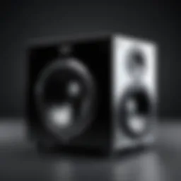 Exploring the Bic 12 Subwoofer: A Comprehensive Analysis Introduction
