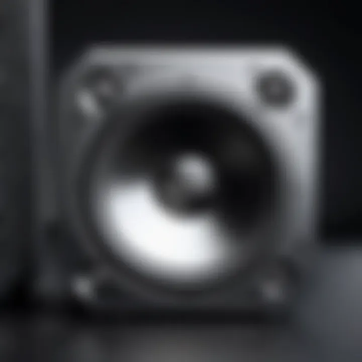 Illustration of the Monster Rock and Roll Speaker's technical specifications