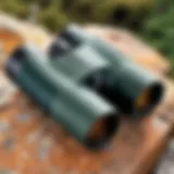 Exploring the Swarovski 8x25 CL Pocket Mountain Binocular: An In-Depth Review Introduction