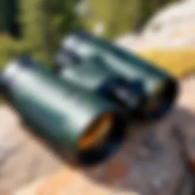 Notable Exploring the Swarovski 8x25 CL Pocket Mountain Binocular: An In-Depth Review Notable Exploring the Swarovski 8x25 CL Pocket Mountain Binocular: An In-Depth Review