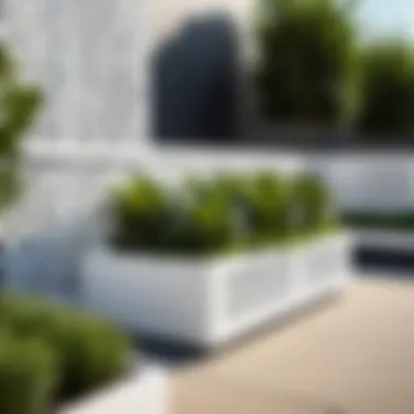 Stylish white lattice planter box enhancing a commercial landscape