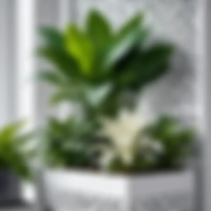 Close-up view of white lattice planter showcasing diverse plant arrangements