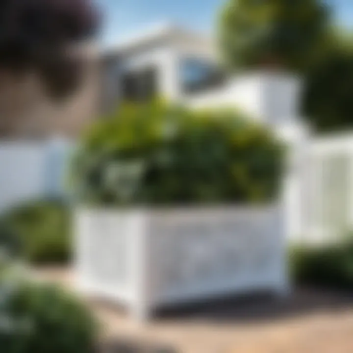 Maintenance of white lattice planter box in a serene garden setting