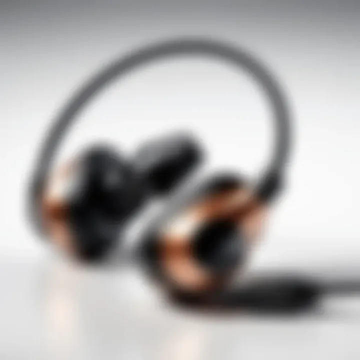 Notable In-Depth Review of HIFIMAN RE400 Earphones