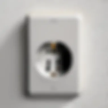 Functional Detail of AC Outlet in Lamp Close-up of a lamp showcasing its AC outlet functionality