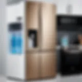 Illustration of LG refrigerator showcasing water filter bypass plug