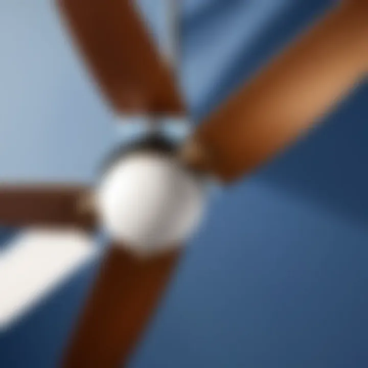 Close-up of outdoor ceiling fan blades showcasing durability