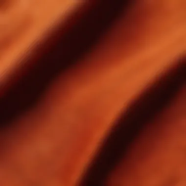 Textural Characteristics of Pioneer Woman Material Close-up of textured Pioneer Woman fabric