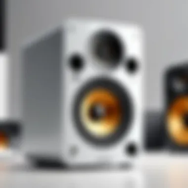 Warranty Options for Refurbished Speakers An infographic detailing warranty options for refurbished speakers