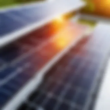 Showcasing Energy Efficiency with Solar Panels Solar panel absorbing sunlight showcasing energy efficiency.