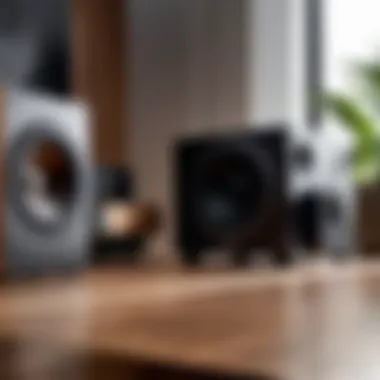 User enjoying music with W King speaker