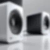 Compact design showcasing modern speaker technology