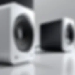 Compact design showcasing modern speaker technology