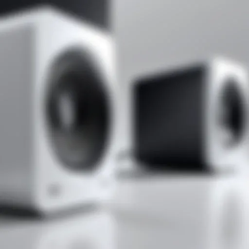Compact design showcasing modern speaker technology