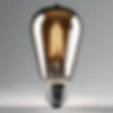 Detailed view of a 100W LED Edison bulb showcasing its vintage design.