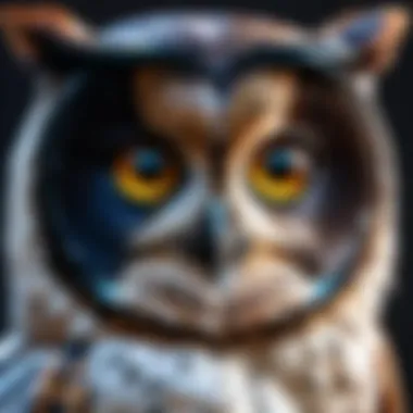 Understanding Night Owl 4K Ultra HD Wired IP Cameras Summary