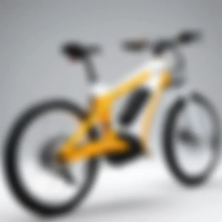 Notable Understanding the 2000W E-Bike: Power, Performance, and Possibilities