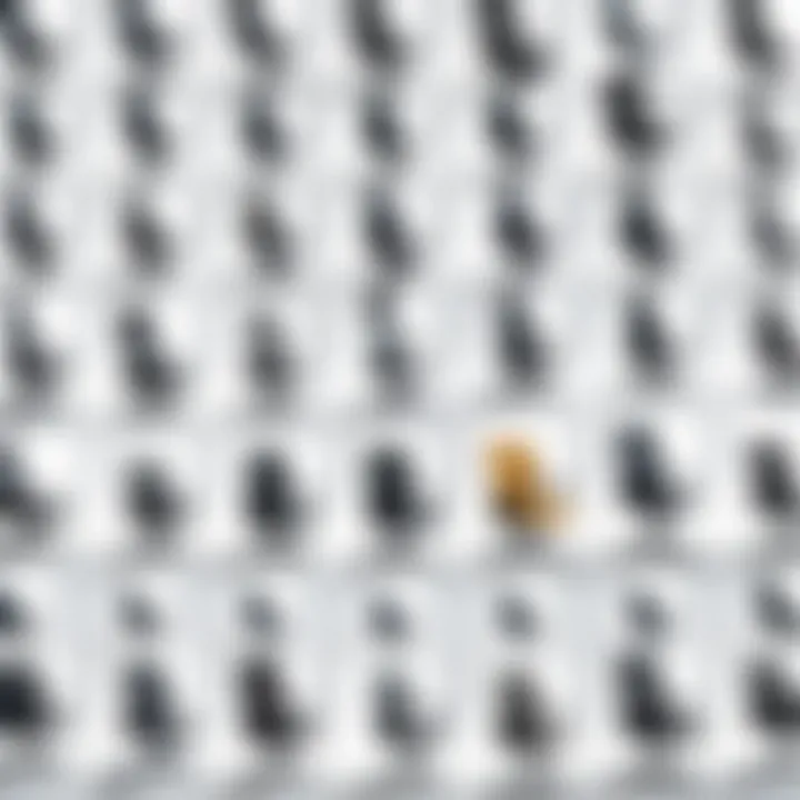 Comparative design styles of computer chairs