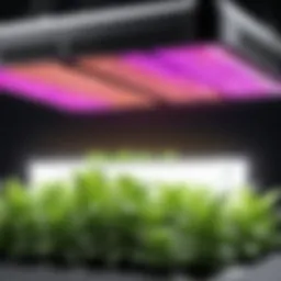 Slaouwo grow light showcasing its advanced LED technology